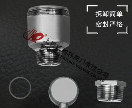 AVAX不銹鋼自動排氣閥可拆卸設計細節說明